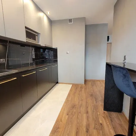 Stare Z Widokiem Na Motławę * Gdańsk